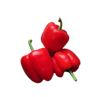 Rote Paprika 3er Pack (Takitos Express)