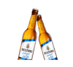 Sechserpack (6 pack) Veltins Pils alkoholfrei ungekühlt (Takitos Express)